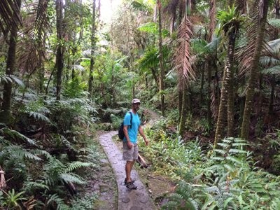 Captain Matt on the trail, El Yunque