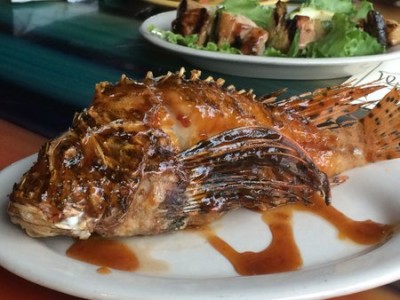 Lionfish for our celebratory back-to-the States meal